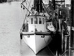 Shem Creek, Mount Pleasant, SC